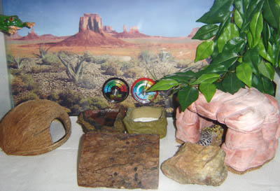 Enclosure
Terrarium