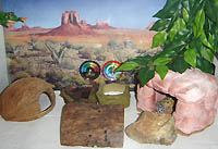 Terrarium